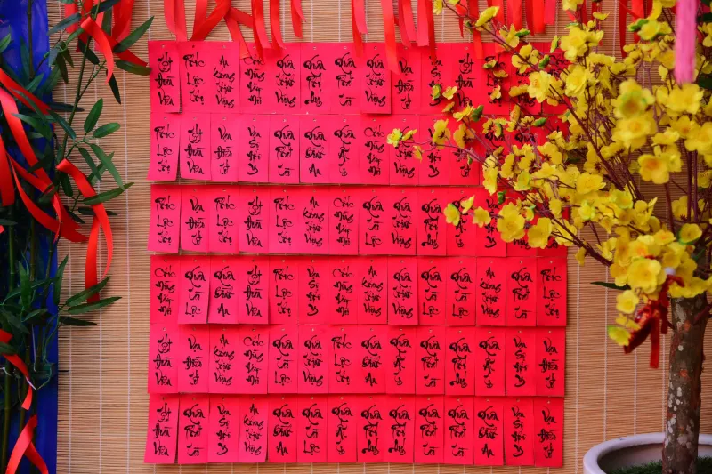 Số Đỏ and Spread Bets: How Vietnamese-Americans Are Weaving Tết Numerology Into Their Wagering Picks